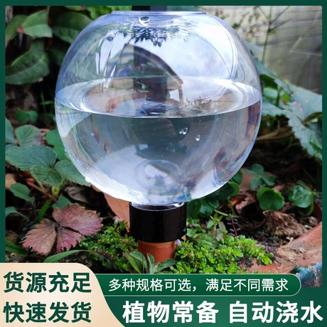 500ML球型自动浇水懒人浇花器跨境新款外贸渗水器 小型多肉滴水器 商机组货:智能园艺灌溉 ¥ 5 全网10万+件 退货包运费 先采后付 7天无理由 回头率64