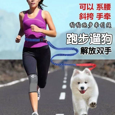 宠物牵引绳大型犬牵引绳牵引狗绳跑步牵引绳腰带牵引绳腰部方便绳 首单减1元且免运费 ｜ 商机组货：狗狗牵引装备 ¥ 9 .9 2000+件 退货包运费 后天达 先